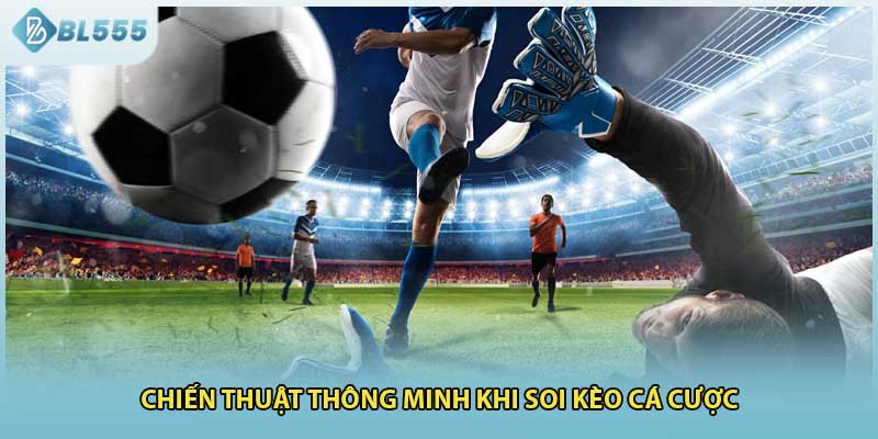 Chiến thuật thông minh khi soi kèo cá cược